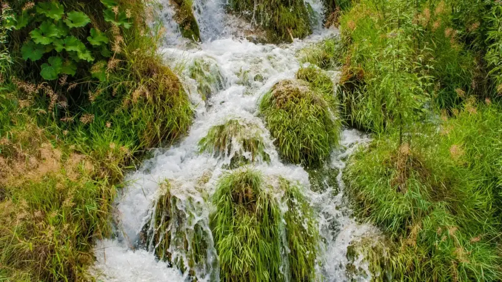 "Ghid practic pentru creatori din Moldova: cum să abordezi branduri franceze pe Josh cu videoclipuri de tip wardrobe haul și ce funcționează în 2025."