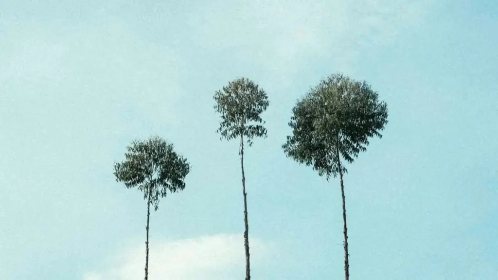 Pași practici pentru creatorii din Moldova care vor să găsească și să contacteze branduri din Laos asociate unui show HBO Max, pentru recenzii lungi.