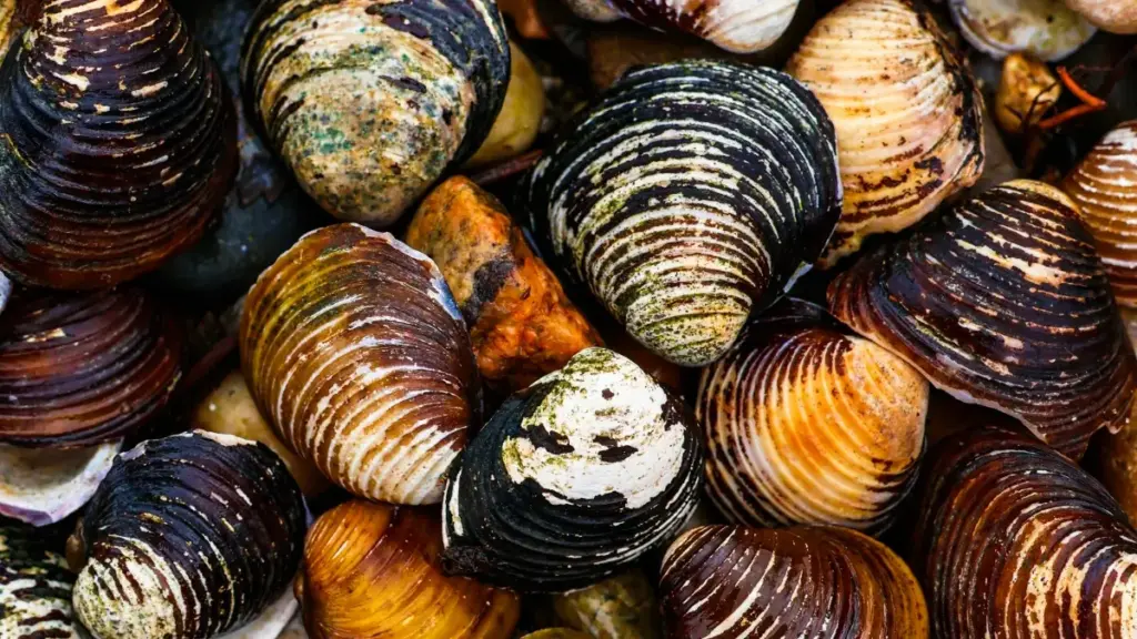 |Ghid practic pentru creatori din Moldova: cum să găsești, să contactezi și să câștigi încrederea brandurilor din Serbia pe Etsy.