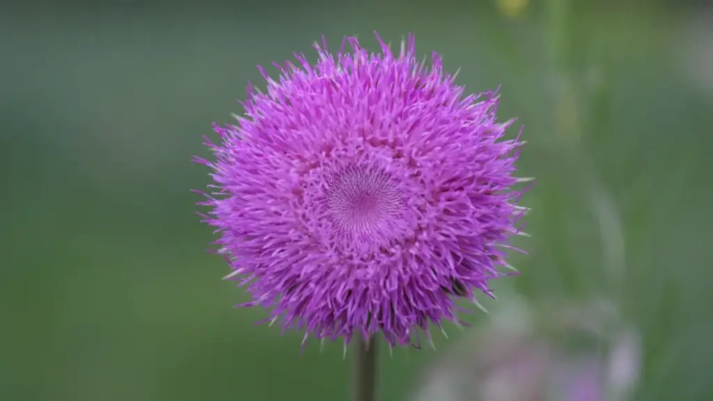 Ghid practic pentru advertiserii din Moldova: cum identifici, verifici și negociezi cu creatori Taobao din Suedia pentru campanii joint — pași, riscuri și tactici locale.