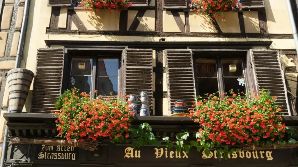 Ghid practic pentru advertiserii din Moldova: cum găseşti, verifici și colaborezi cu creatori Telegram din Uzbekistan ca să promovezi platforme de învățare online.