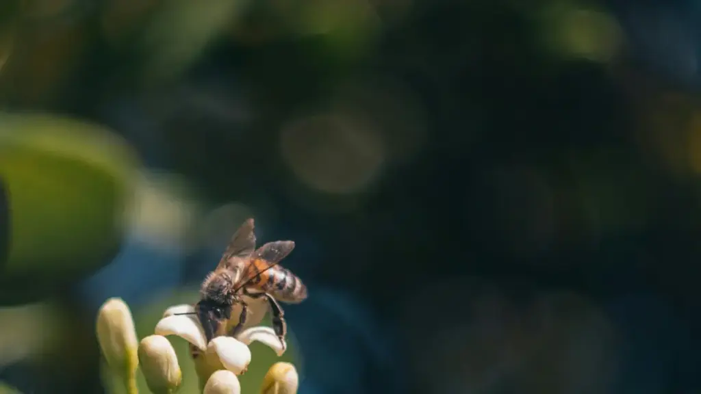 "Strategii practice pentru brandurile din Moldova care vor să crească engagement pe Viber în Germania: tactici bazate pe trenduri e‑commerce și tactici de creator marketing."