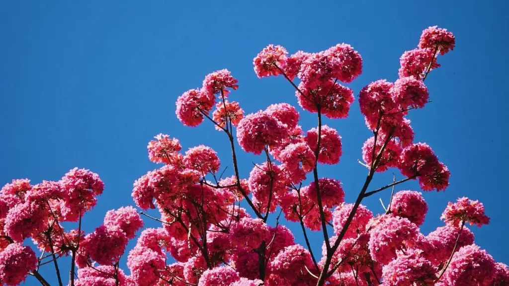 "Ghid pentru brandurile din Moldova: cum să folosești Zalo, Instagram și site-ul propriu ca să confirmi potrivirea produsului pe piața Luxembourg — tactici practice și riscuri."