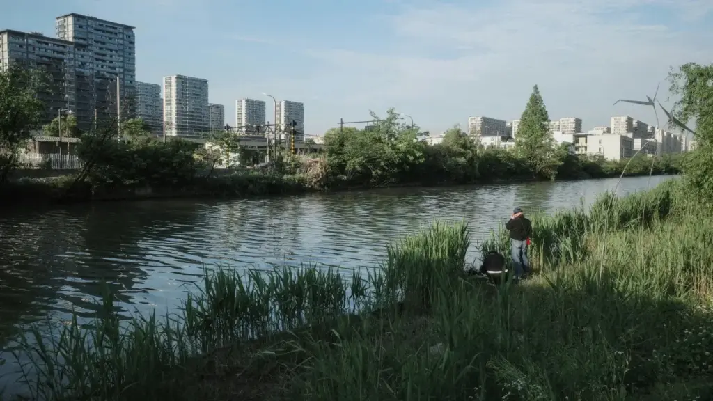 Ghid practic pentru advertiserii din Moldova: cum găsești și colaborezi cu creatori indieni de pe Amazon ca să crești descărcările unei aplicații.