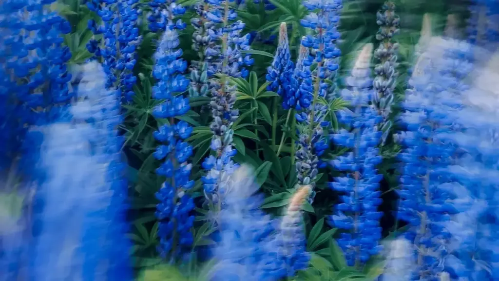 |- Ghid practic pentru advertiserii din Moldova: metode locale și tactic­i concrete pentru a găsi creatori din Oman care promovează produse Amazon în rutine wellness.