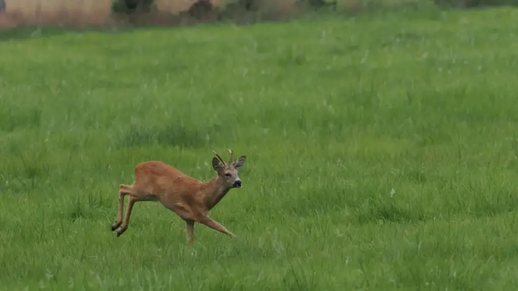 Ghid practic ro-MD pentru creatori: cum găsești, contactezi și convingi branduri din Laos pe SoundCloud să folosească muzica ta în campanii.