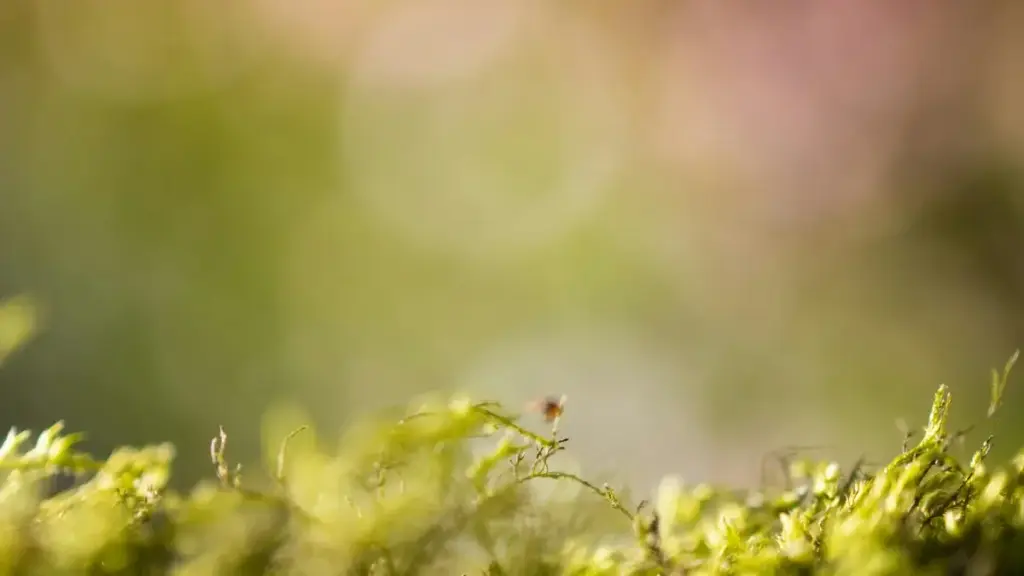 Ghid practic pentru creatori din Moldova: strategii reale ca să contactezi branduri din Oman pe Pinterest și să construiești parteneriate pe termen lung.