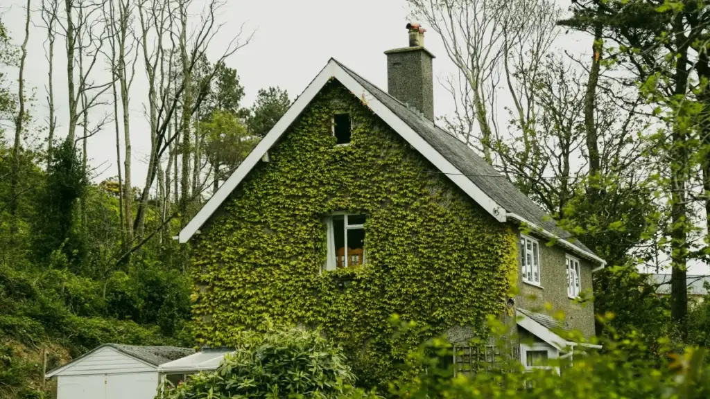 Ghid practic pentru branduri din Moldova: cum identifici, evaluezi și angajezi creatorii de conținut din România pentru campanii creator‑led pe Shopee.