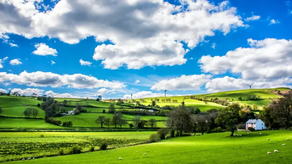 Ghid practic pentru advertiserii din Moldova: cum găsești creatori Bilibili din Singapore, ce strategii funcționează pentru awareness global și cum scalezi campanii cross-border.