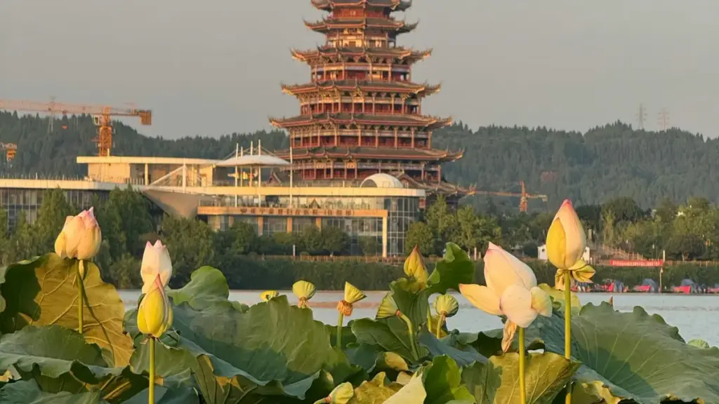 Ghid practic pentru advertiserii din Moldova: cum găsești, filtrezi și pornești campanii UGC cu creatori Telegram din Turcia, plus riscuri și verificări.