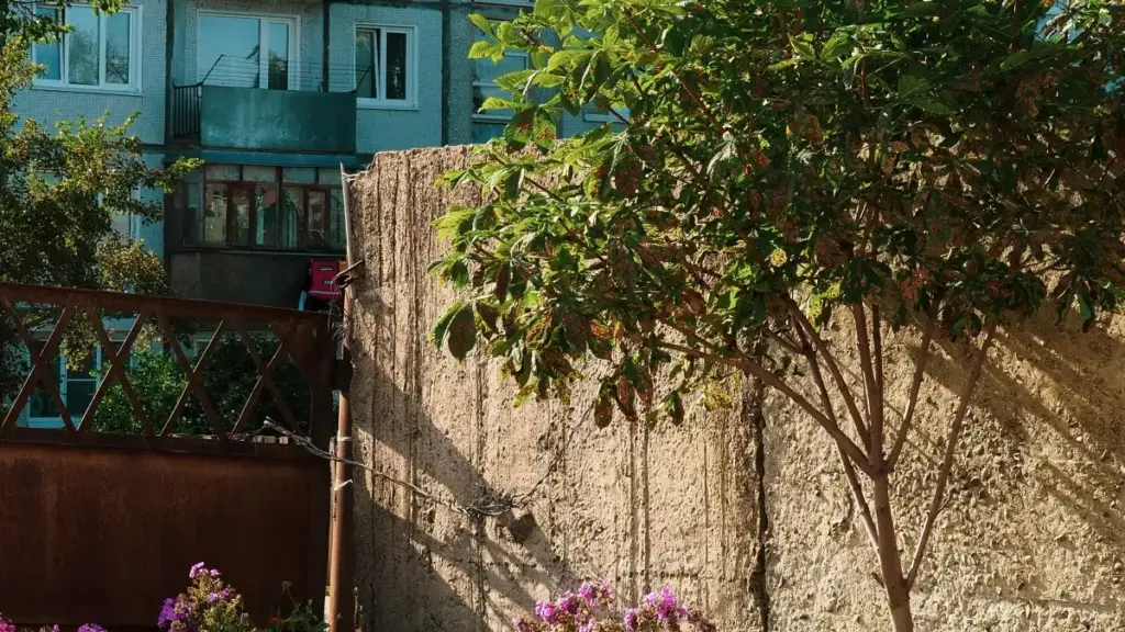 Ghid practic pentru creatori din Moldova: cum găsești și abordezi branduri din Etiopia pe Douyin ca să le propui coduri promo periodice și colaborări micro-influencer.