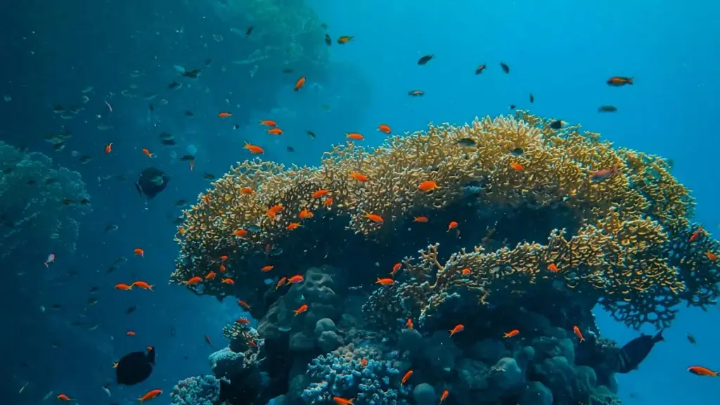 Ghid practic pentru advertiserii din Moldova: cum să identifici și recrutezi creatori din Bolivia pe eBay pentru product seeding eficient și ROI rapid.