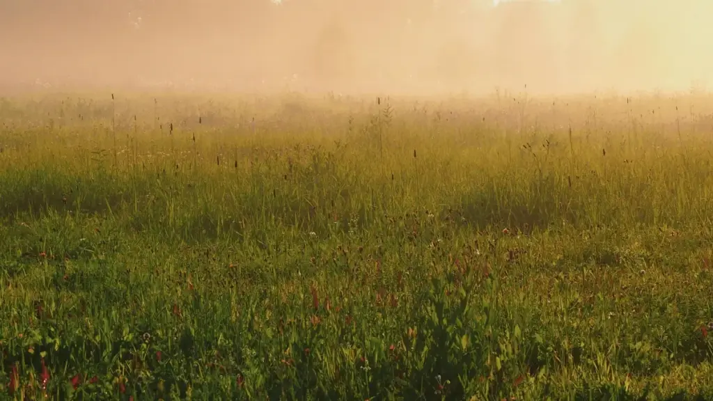 Ghid practic pentru advertiserii din Moldova: cum găsești creatori din Indonezia care promovează HBO Max pe bază de tarif fix — tactici, platforme, riscuri fiscale și pași concreți.