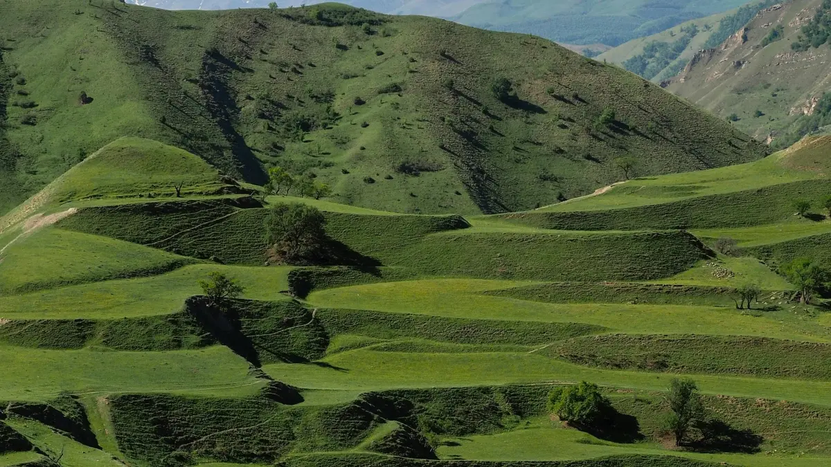 Advertisori din Moldova: găsește creatori Pakistan Threads rapid și sigur