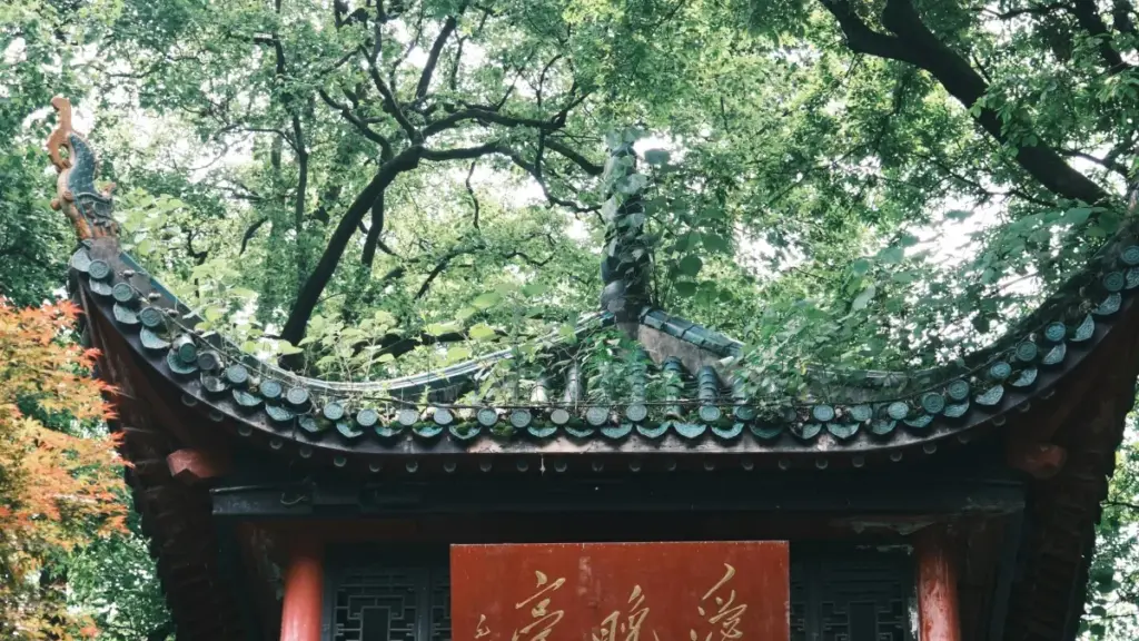 Ghid practic pentru creatori din Moldova: pași, mesaje șabloane și tactici reale ca să ajungi la branduri marocane pe Facebook pentru review-uri sponsorizate.