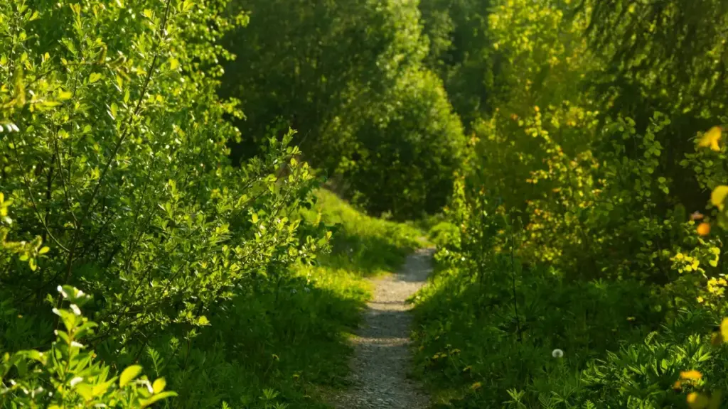 Ghid practic pentru advertiserii din Moldova: cum identifici, contactezi și activezi creatori Snapchat din Bosnia și Herțegovina pentru campanii în comunități gaming.