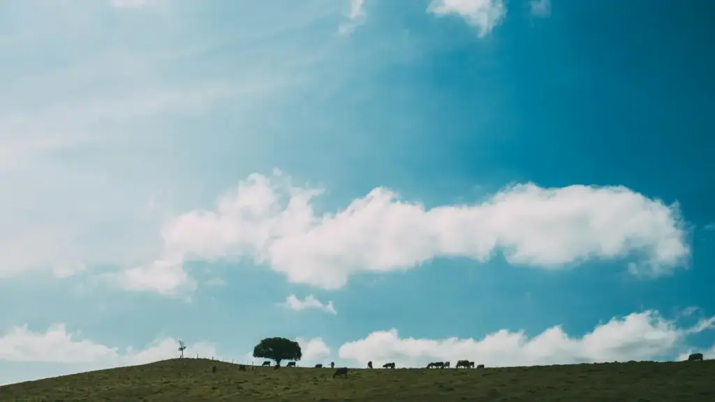 Ghid practic pentru creatori din Moldova: pași concreți, mesaje gata de folosit și tactici pe Discord ca să intri în colaborări wellness cu branduri din Polonia.