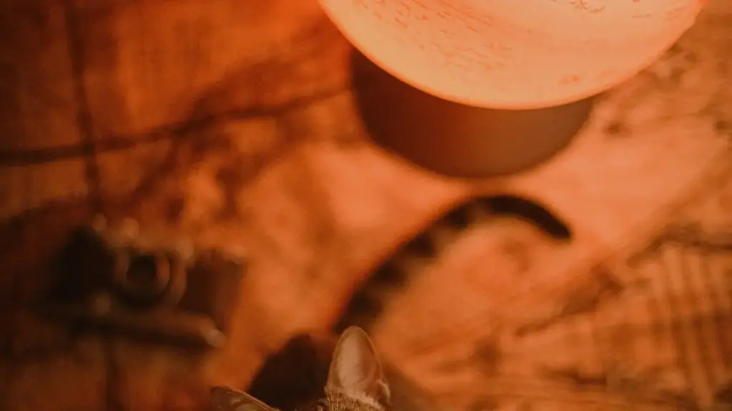 Ghid practic pentru advertiserii din Moldova: cum găsești, evaluezi și angajezi creatori vkontakte din Olanda pentru provocări fitness conduse de creatori.