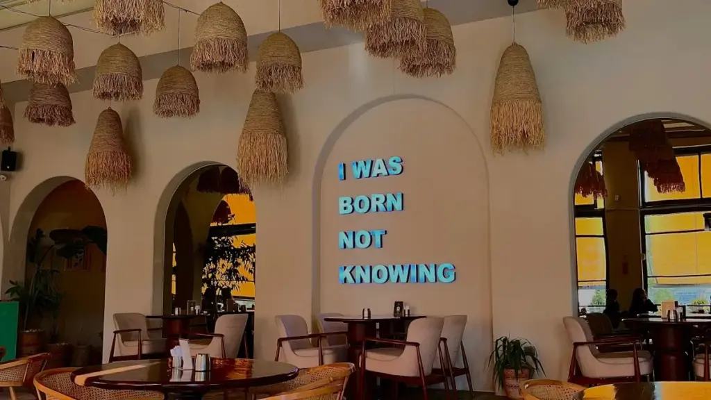 Ghid practic pentru advertiserii din Moldova: cum găsești și negociezi cu creatori TikTok din Coreea de Sud pentru campanii de unboxing cu potențial viral.