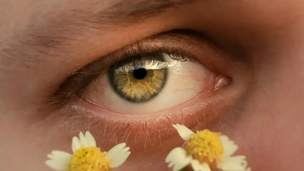 Ghid practic pentru creatori: pași, abordări locale și tactici Spotify pentru a atrage branduri din Kuwait cu campanii de giveaway. Sfaturi testate și exemple relevante.