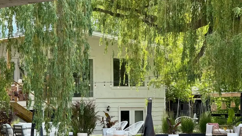 Ghid practic pentru advertiserii din Moldova: cum identifici, verifici și testezi cererea de piață cu creatori Takatak din Costa Rica — tactici, riscuri și resurse actualizate.