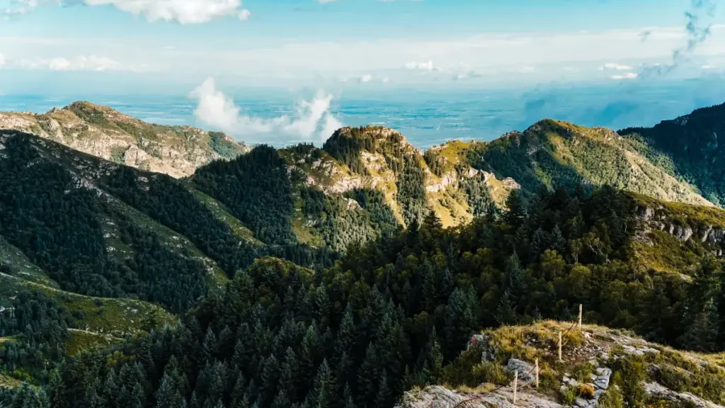 Ghid practic pentru advertiserii din Moldova: cum găsești creatori Twitch din Israel, selectezi UGC eficient şi creşti expunerea echipamentului de călătorie.