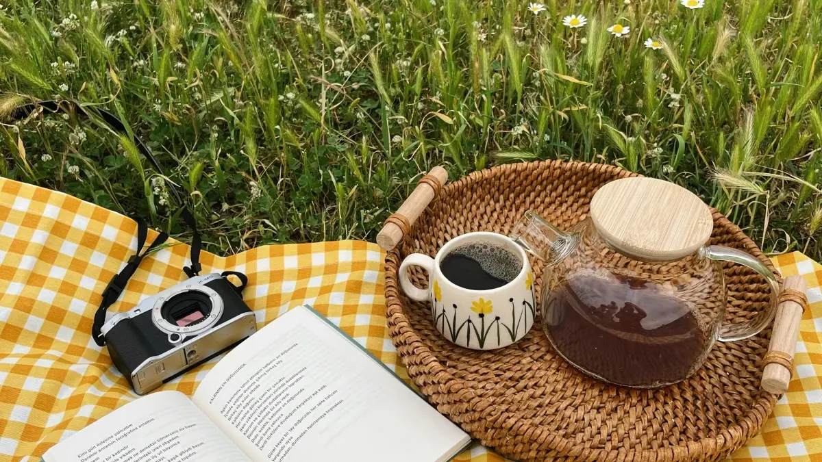 Advertisori MD: Găsește creatori Douyin din Cehia pentru afiliere