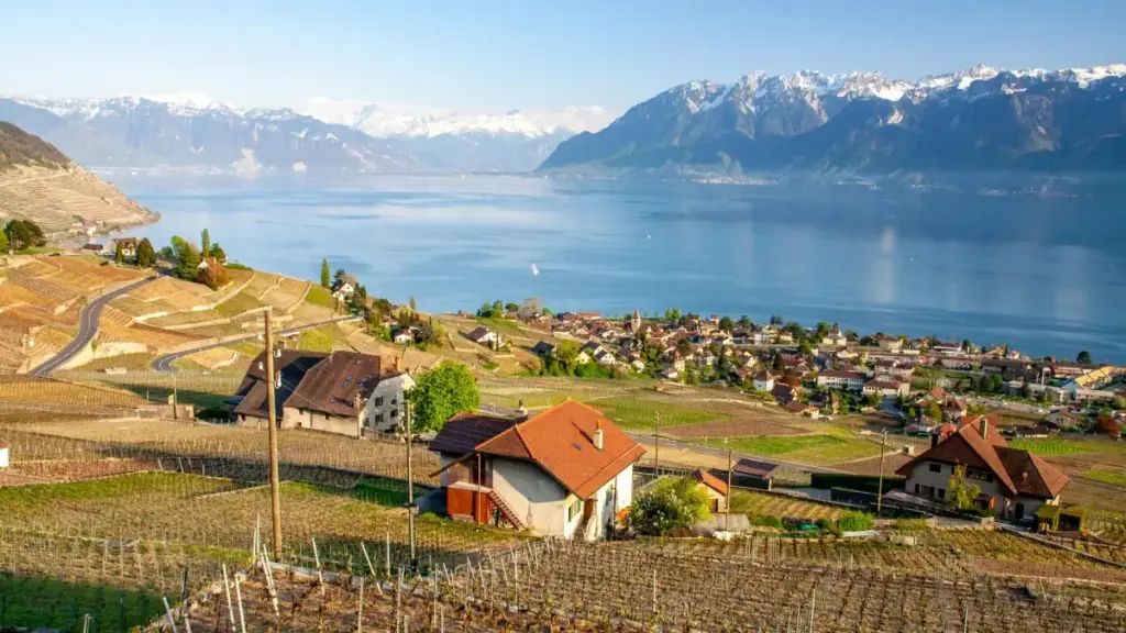 Ghid practic pentru creatori din Moldova: strategii, mesaje și tactici locale pentru a atrage colaborări cu branduri din Irlanda prin Viber.