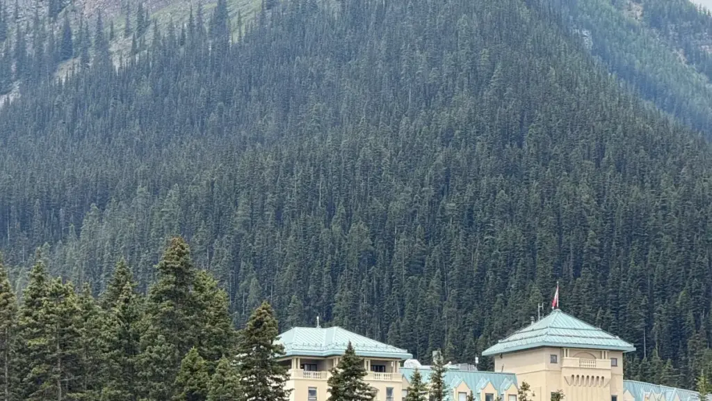 Ghid practic pentru creatorii din Moldova: strategii reale ca să ajungi la branduri din Puerto Rico care rulează reclame pe Disney+ și să obții produse beauty pentru review.