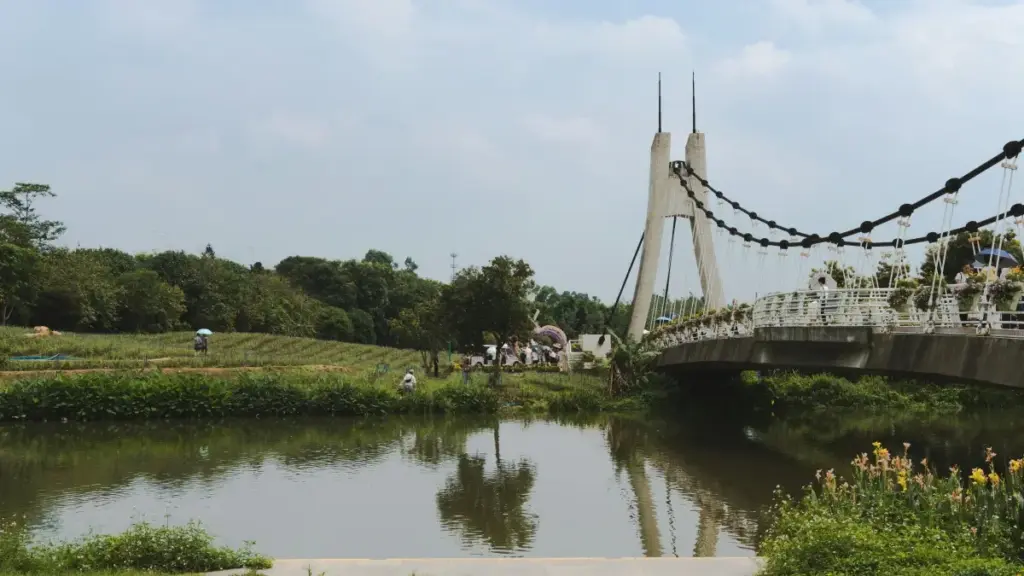 Ghid practic pentru creatori din Moldova: pași concreți, mesaje tip, și tactici locale pentru a contacta branduri din Serbia pe Rumble și a produce lookbook-uri de modă.