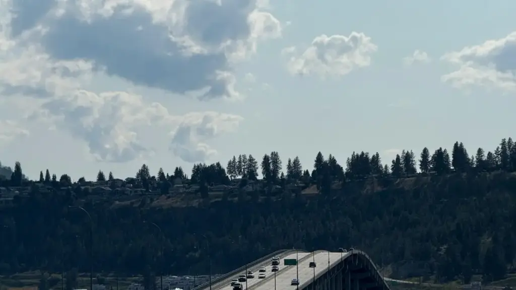 Ghid practic pentru creatori din Moldova: pași concreți să găsești, contactezi și câștigi colaborări cu branduri din Ucraina pe Moj — ca să-ți consolidezi media kit-ul și rata conversiilor.