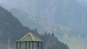 Ghid practic pentru branduri din Moldova: cum să identifici, verifici și colaborezi cu streameri din Iraq pe Twitch pentru lansări de suplimente alimentare.