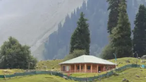 Ghid practic pentru creatori din Moldova: pași, mesaje, exemple reale și strategii pentru a colabora cu branduri din Bangladesh pe Threads pentru giveaway-uri.