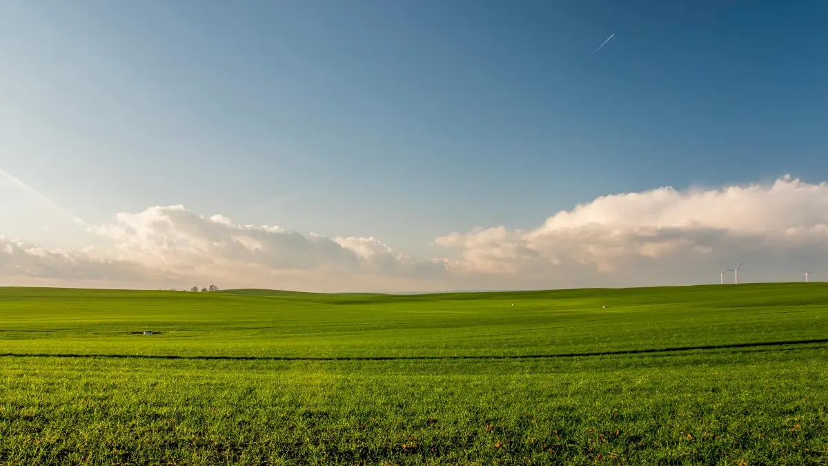 Creatori din Moldova: cum să contactezi branduri din Macedonia de Nord pe Kuaishou