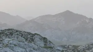 Ghid practic pentru creatori din Moldova: pași concreți, canale și riscuri când vrei să negociezi oferte flat-fee cu branduri din Republica Dominicană prezente pe Netflix.