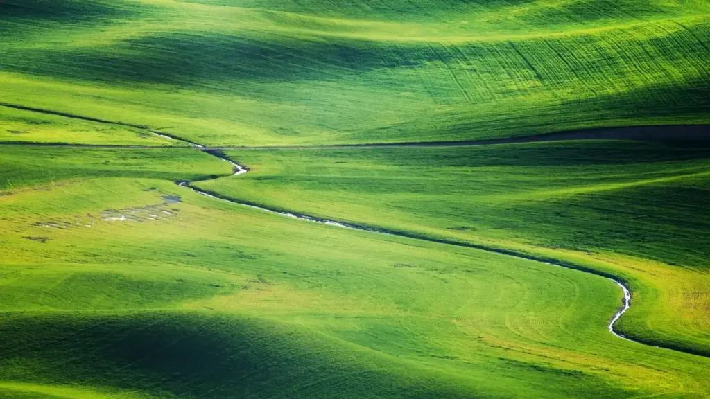 Ghid practic din Moldova pentru găsirea și contractarea creatorilor Viber din Ungaria care pot promova lansări mobile de jocuri. Pași, canale, negocieri și campanii eficiente.