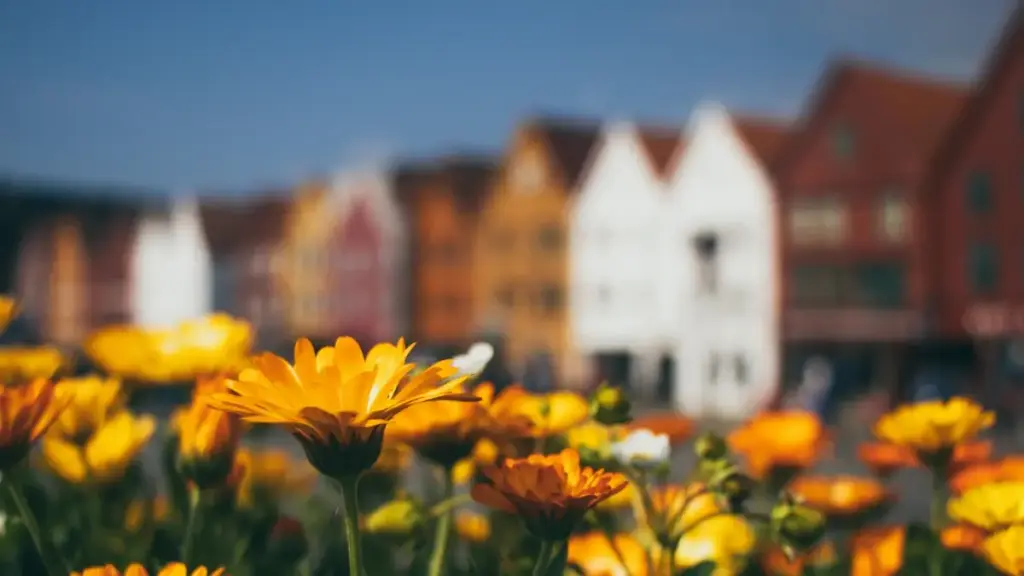 Ghid practic pentru advertiserii din Moldova: cum identifici, evaluezi și contractezi creatori Bilibili din SUA pentru lansări de produse, cu strategii locale și resurse concrete.