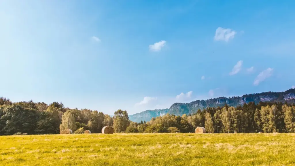 Ghid practic pentru agențiile din Moldova: cum găsești creatori din Amazon Colombia ca să promovezi tururi locale — pași concreți, platforme, strategii și riscuri.