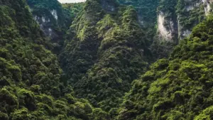 Ghid practic pentru advertiserii din Moldova: cum să identifici și să colaborezi cu creatori Etsy din Bangladesh pentru a crește vizibilitatea destinațiilor turistice.