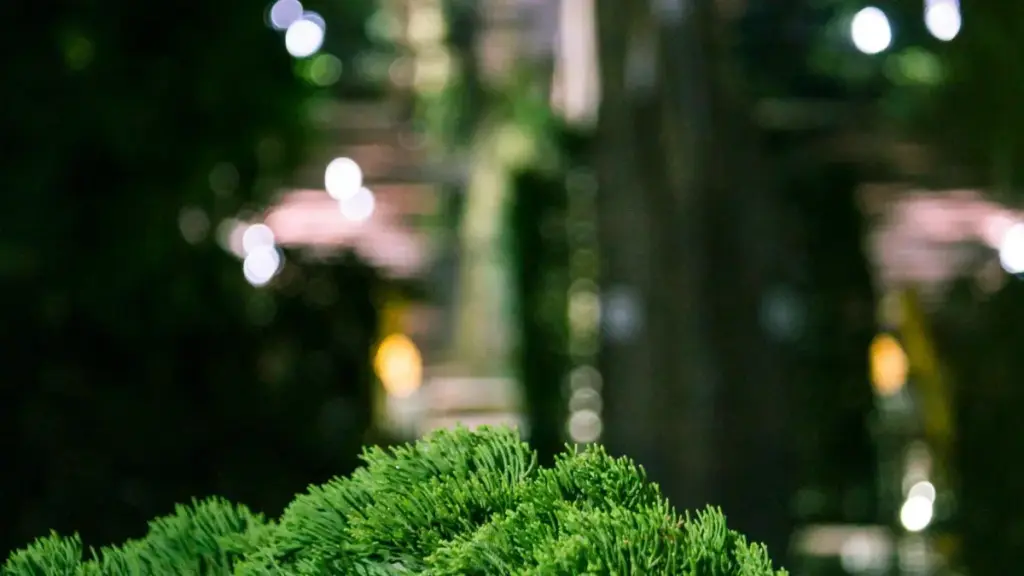 Ghid practic pentru creatori din Moldova: cum să găsești, abordezi și monetizezi branduri din Turcia pe Roposo pentru videoclipuri tip song‑reaction.