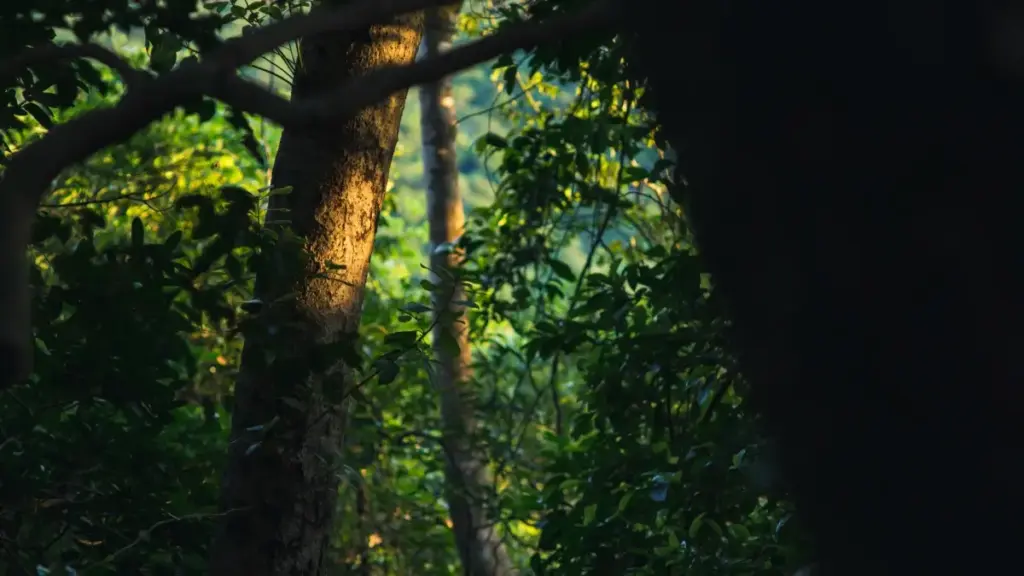 Ghid practic pentru advertiserii din Moldova: cum identifici, contactezi și lansezi drops limitate cu creatori Twitch din Laos — strategii, resurse și riscuri locale.