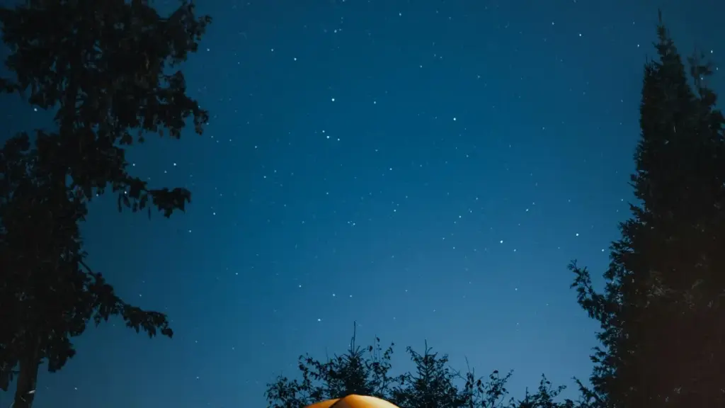 Pași practici pentru creatori din Moldova care vor să contacteze branduri din Malta pe Shopee și să facă haul-uri de garderobă care chiar se vând.